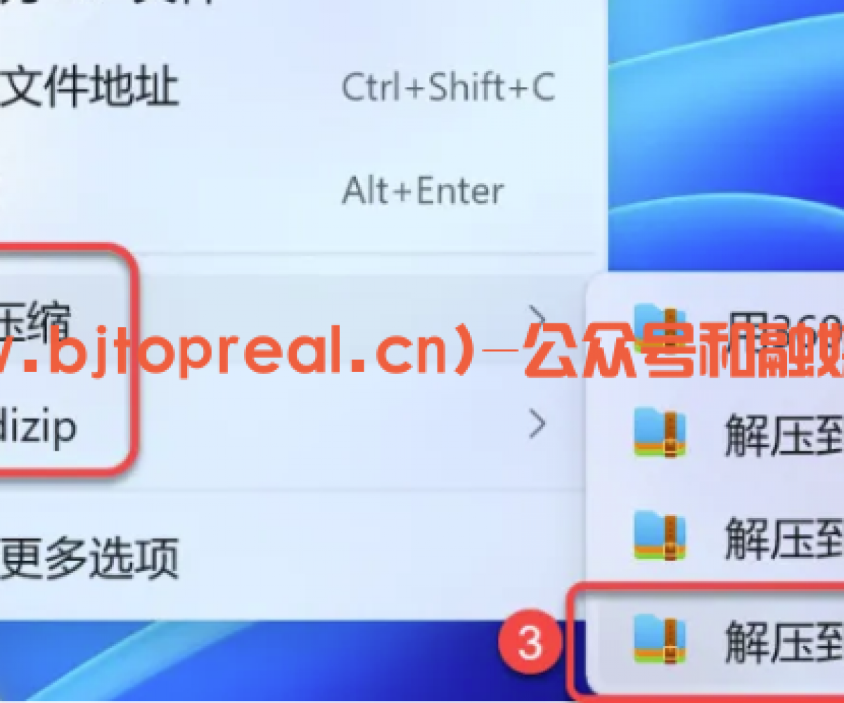 Topaz Video AI安装教程