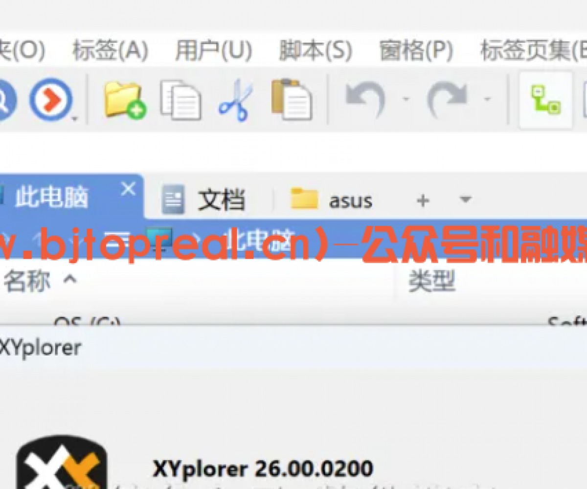 XYplorer26(文件资源管理）软件分享